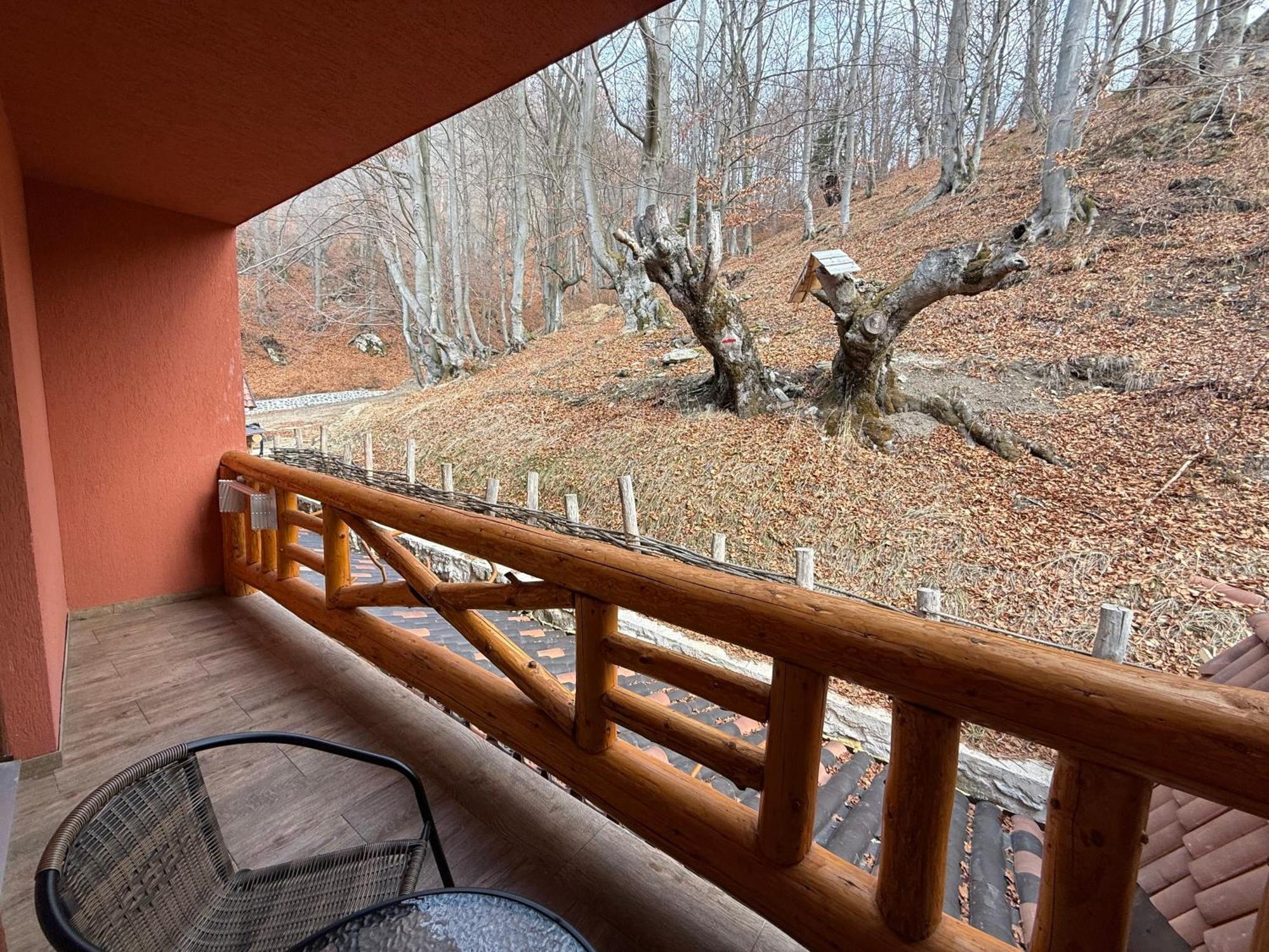 Hotel Conacul Radacinilor Petroşani Esterno foto